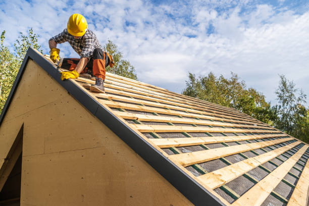 Best Roof Gutter Cleaning  in Titusville, PA
